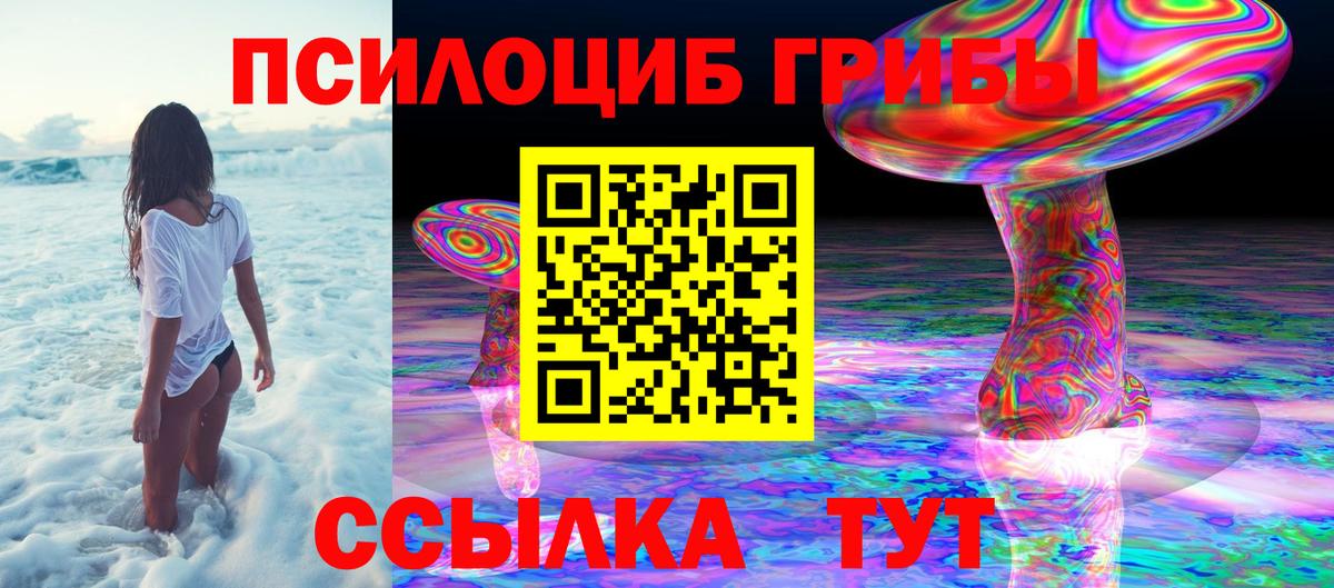 Алейск  Псилоцибиновые грибы Cubensis  Вход с VPN 